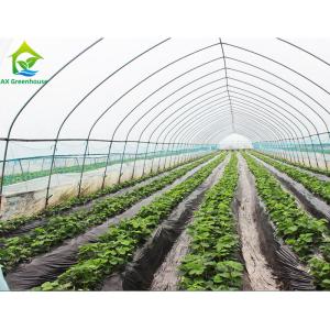 Wholesale Commercial Single Span Poly Tunnel Greenhouse For Tomatoes from china suppliers