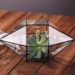 Diamond Shaped Clear Glass Vase , Durable Geometric Terrarium Glass Vases