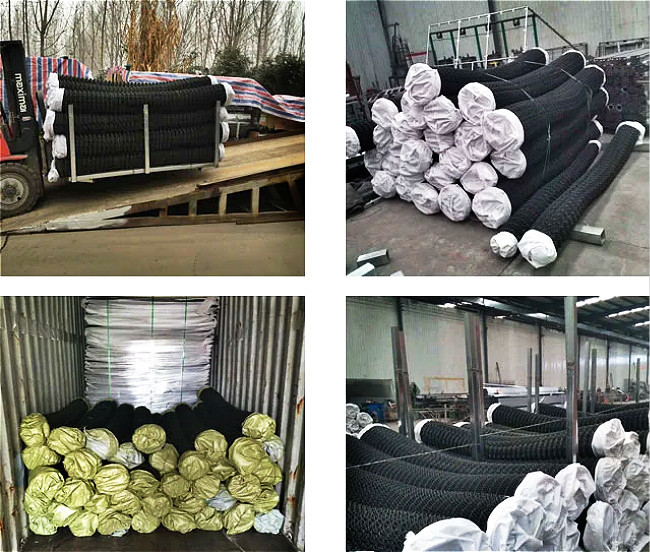 Safety Metal Steel Pvc Chain Link Fence For Garden
