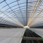 Water Heating System Korean Mode Film Agricultural Greenhouses for Year-Round
