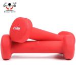 Harmless Gym Equipment Dumbbell Set , Plastic Dumbbell Weights With Rich Texture