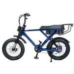 Powerful 500w 750w 1000w E Bike Max Speed 50km/h 48V Voltage for Snow Beach and