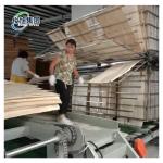 8000 KG Vertical Wood Panel Belt Conveyor Drying Equipment for Olive Wood Slices