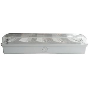 Wholesale IP65 Waterproof 110V / 220V Led Automatic Emergency Light For Teaching Buildings from china suppliers