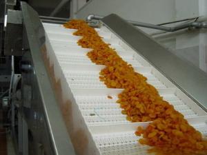 Wholesale Stainless Steel Elevator Conveyor Belt Conveyor Price for Washing Vegetable from china suppliers