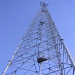 30 Meter Galvanized 3 Leg Self Supporting Tower Tubular Steel Telecom Lattice