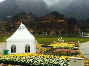 Wholesale Best Large Family Camping Tent Single Color With Toughened Glass Door from china suppliers