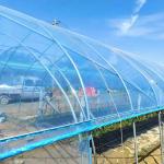 High Quality Clear UV Resistant Greenhouse Film Plastic Agriculture For
