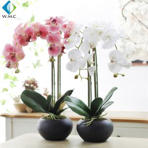 Wholesale 63cm Height Artificial Potted Plants , Fake Phalaenopsis Orchid 5-10 Years Life Time from china suppliers