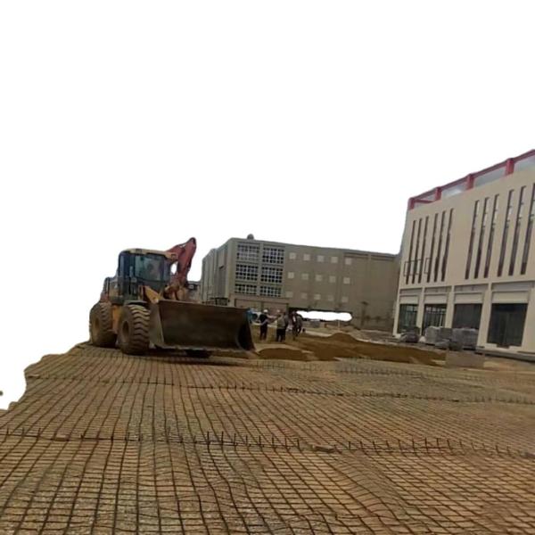 Highways and Railways 100kn Steel Plastic Geogrid Road Surface Resistance