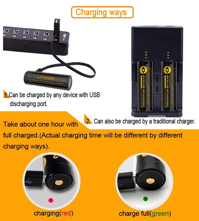 USB Charging Lithium Ion Battery 3.7 V 900mah Rechargeable 500 Cycles Life