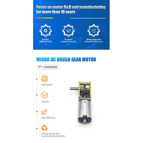 China Custom FT-12SGMN20 12mm DC 3V/6V/12V Mini Micro DC Motor Metal Worm Gear Motor