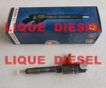 BOSCH Common rail injector 0445110454 0 445 110 454 0445 110 454 Fuel Injector