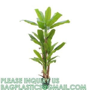 Wholesale Artificial Plants Fake Banana Tree with Green Leaves in Plastic Pot Faux Strelitzia Jungle Tropical Plants Greenery from china suppliers