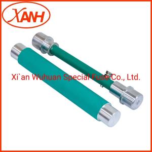 Wholesale Oil Transformer RTE Bayonet Fuses Overcurrent Protection Prnt4-24/6.3 from china suppliers