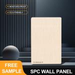 Water Resistance SPC Wall Panels Stone Plastic Composite Eco-Friendly Interior