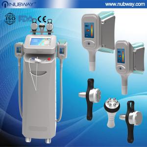 Wholesale Hot selling body slimming weight loss cryolipolysis cold laser from china suppliers