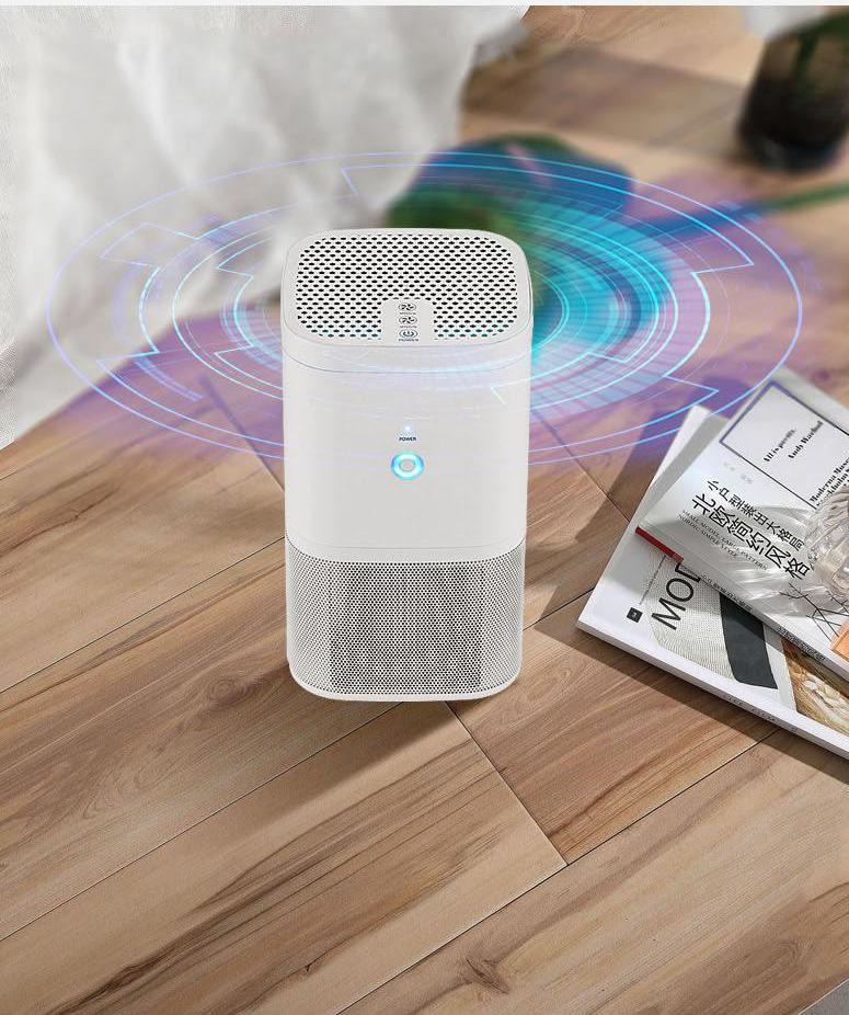 Air Purifiers for Home with HEPA Filter, Quiet Air Filter for Allergens, Hepa Air Purifier for Dust Hayfever Pollen Smok