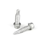 Pan Head Stainless Steel Bimetal Hexagonal Self Drilling Screw for T/T Payment
