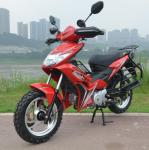 Supercub 125cc ZS Engine 50cc 70cc 110cc Street Legal Motor Bikes