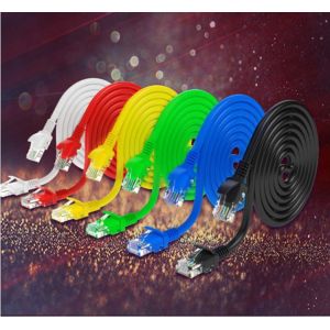 10ft Cat6 UTP Ethernet Cable with RJ45 Connector - Bare Copper