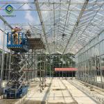 12m Large Agricultural Glass Greenhouse Galvanized Steel Frame Truss