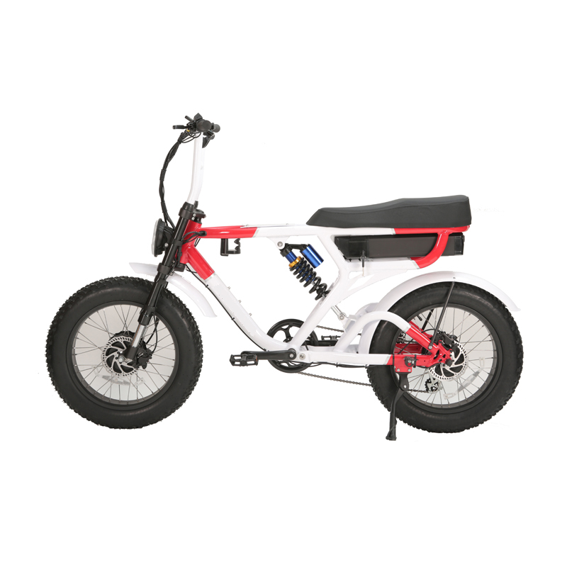 LCD Display Electric Retro Motorcycle with 750W Dual Motors and Long Range Capability