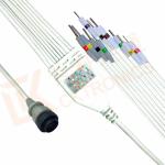 Kenz PC 104 Ecg Monitor Cable One Piece Ecg Cable 10 Leadwires Needle IEC