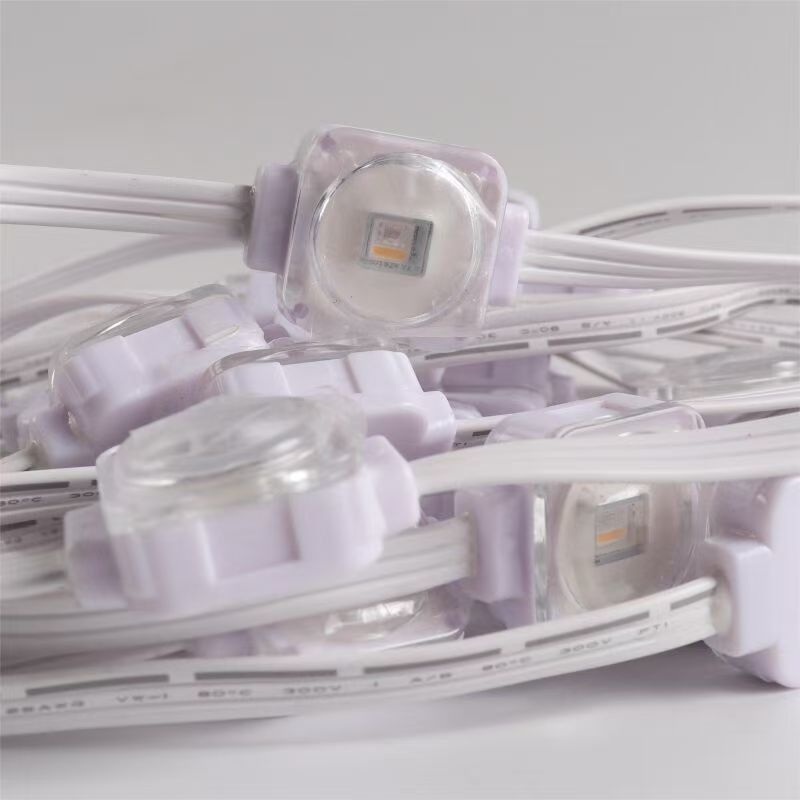 Home 24V RGBW IP67 LED Eaves Light Outdoor Color Decorative for Christmas and Year