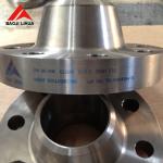 Titanium Alloy Forging Flange gr2 welded neck pipe fittings Titanium flange