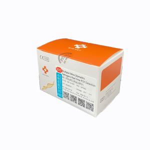 Wholesale FeLV Fluorescent RT PCR Kit Test Feline Stomatitis Cat DNA Kit FIV from china suppliers