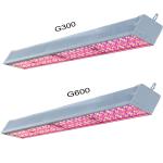 Commercial Greenhouse LED Grow Lights Supplemental 640W Toplighting