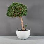 Nursery Fiberglass Resin Flower Pot Set For Succulent Garden Home Decor