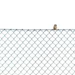 Best Selling Durable Using link fence aquaculture purse seine orchard protection