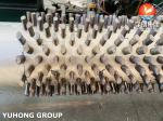 Stainless Steel Seamless Pipe ASTM A312 TP317L with 11Cr Studded Tube , Fired