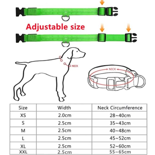 Anti Loss Glowing Dog Collars Polyester Luminous Dog Collars Feature Lights