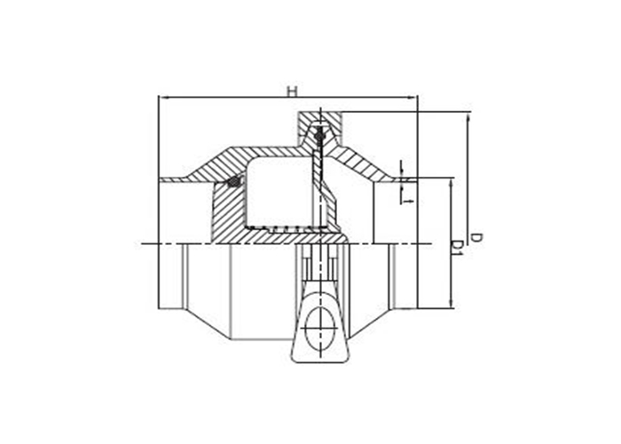 AISI 304 316L Stainless Steel Sanitary Valves - Weld Ends Check Valve