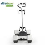 10.5 Inch 4 Wheel Skateboard 1000W Brushless Motor With Removable Golf Handle