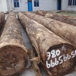 Engineered Wood Veneer Of Silver Bird'S Burl SBB-X0033 Thickness 0.15-0.6mm For
