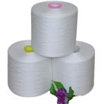 20/2, 20/3, 40/2, 40/3 100% Polyester Ring Spun Yarn Factory Low Price