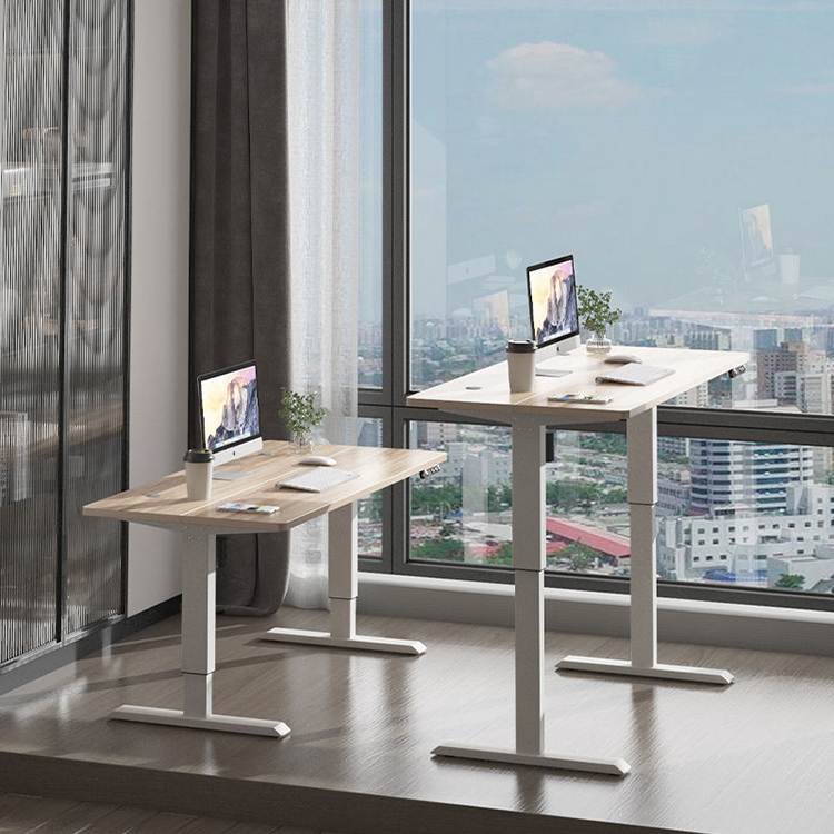 Modern 2 Stage Smart Electric Height Adjustable Computer Gaming Desk for Living Room