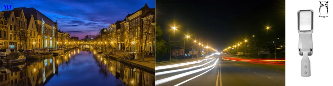 Factory Price CE RoHS 100W 0-10V Dim Die-Casting Aluminum Waterproof IP65 175lm/W LED Flood Street Light with Support Smart Control