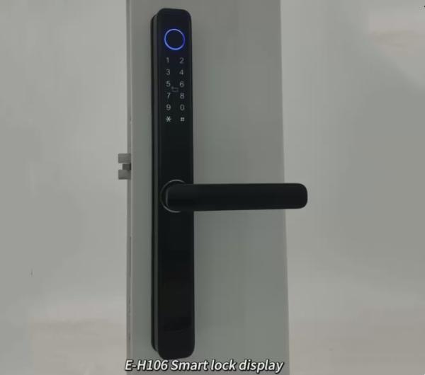 ELA High quality waterproof intelligent lock outdoor aluminum double-sided