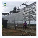 3.0m 6.0m Pc Sheet Polycarbonate Greenhouses UV Protection