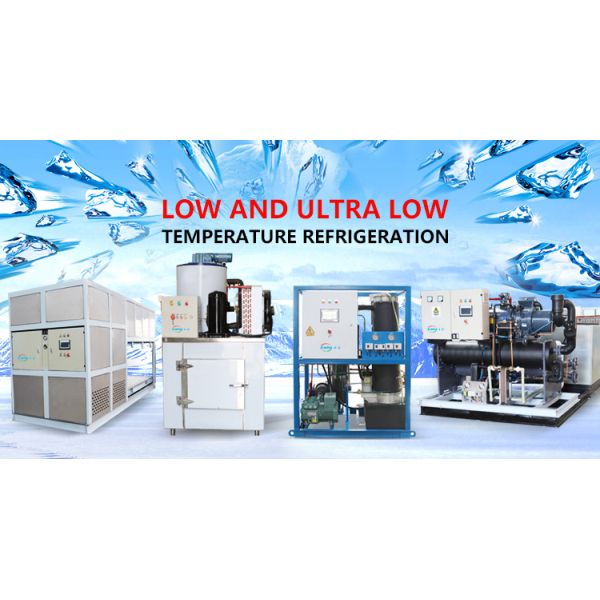 30 tons best quality tube ice machine price 2019 new products