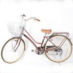Steel City Bikes Shimano Sora Shifters Hard Frame Steel Frame With Caliper