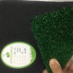 Indoor Outdoor Grass Rugs Single Layer Backing Landscaping Ornamental