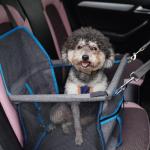 Luxury Pet Bed Foldable Grey Front Dog Car Seat Travel