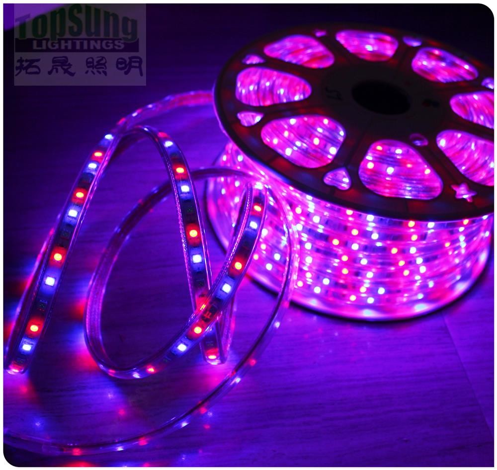 50m high CRI waterproof flexible led strip light 5050 smd 240VAC white strips ribbon