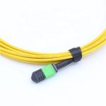 MPO / MTP Connector SM 48 Fiber Optic Patch Cord
